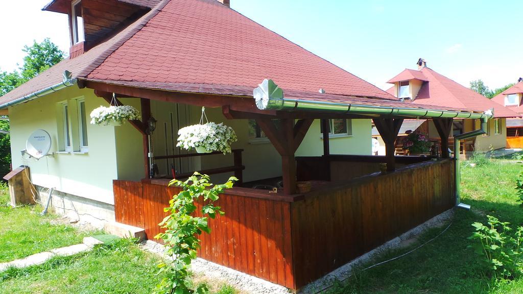 Villa Casa Ada Arpaşu de Sus Zimmer foto